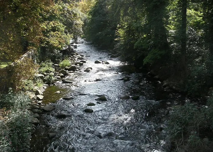 아파트 Loft Traumplatz In Innenstadt Mit Kostenlosem Parkplatz Von Harztraveler